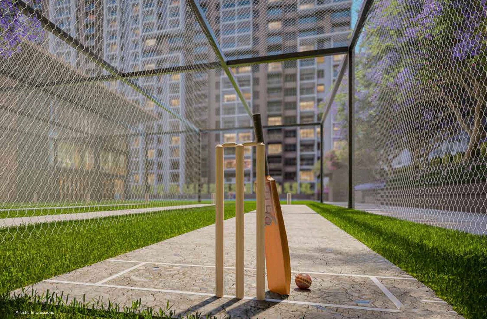 Box cricket (1)
